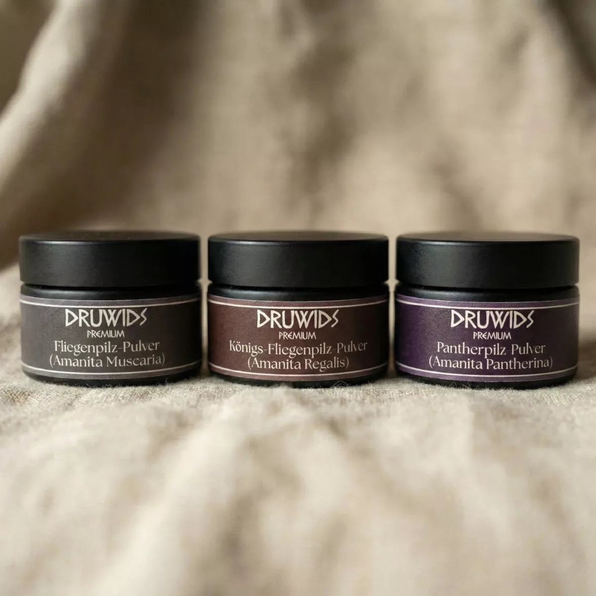 Premium Pulver – Muscaria, Regalis & Pantherina 5g