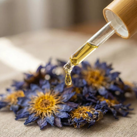 Blauer Lotos Infusionsöl – Moringaöl - Druwids