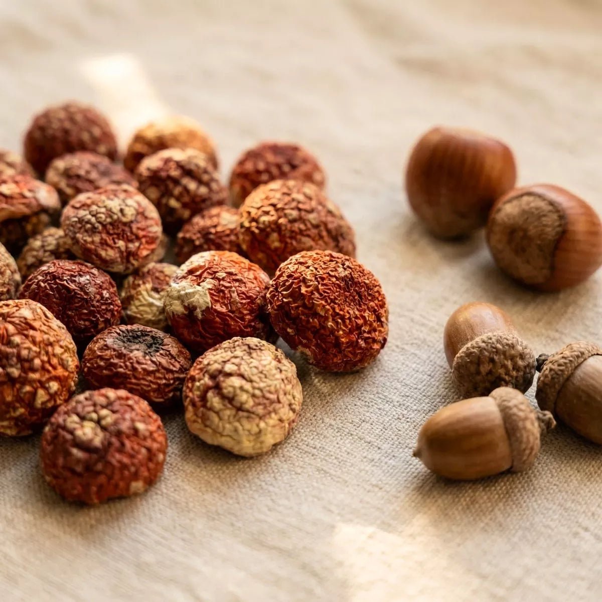 Fliegenpilz Baby Hüte - Druwids