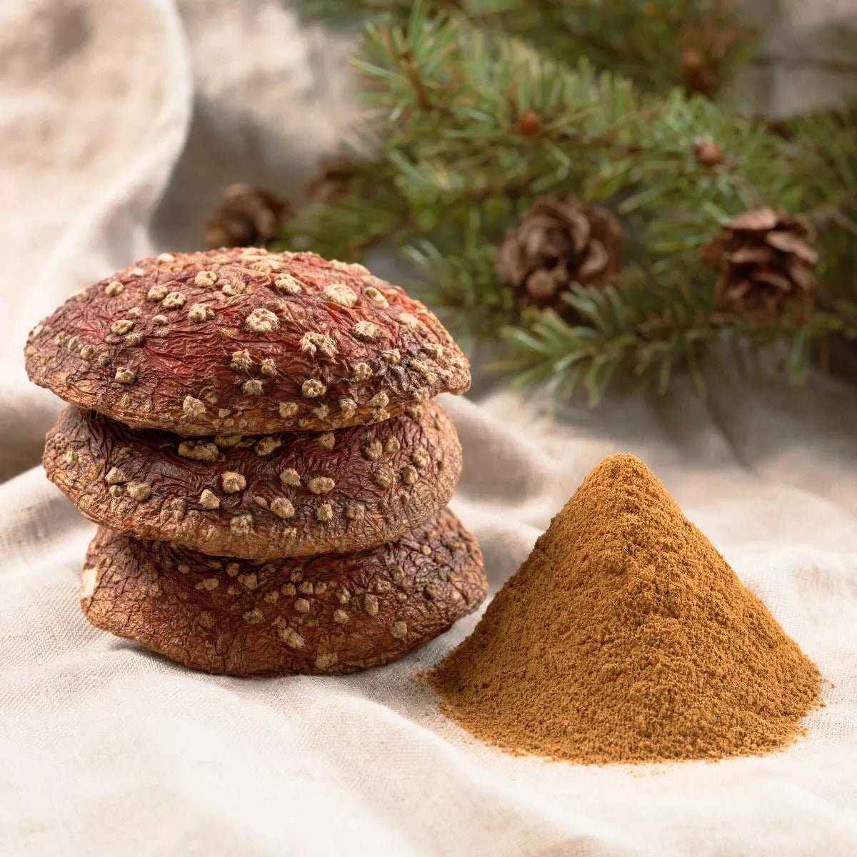 Fliegenpilz DECARB Pulver 60g - Druwids