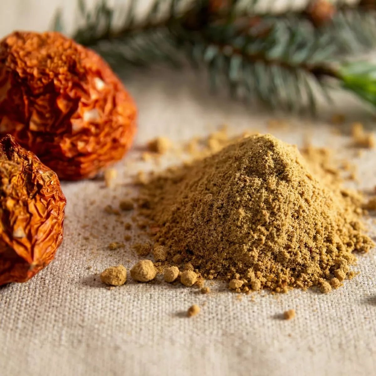 Fliegenpilz Pulver getrocknet