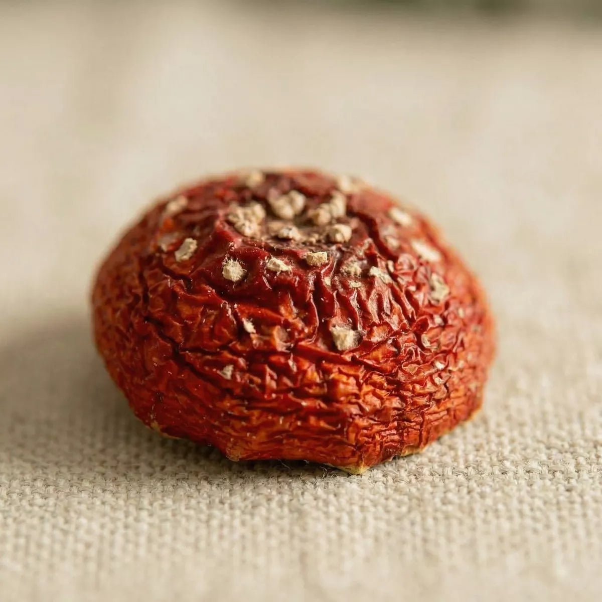 Fliegenpilze - Geschlossene Hüte - Druwids