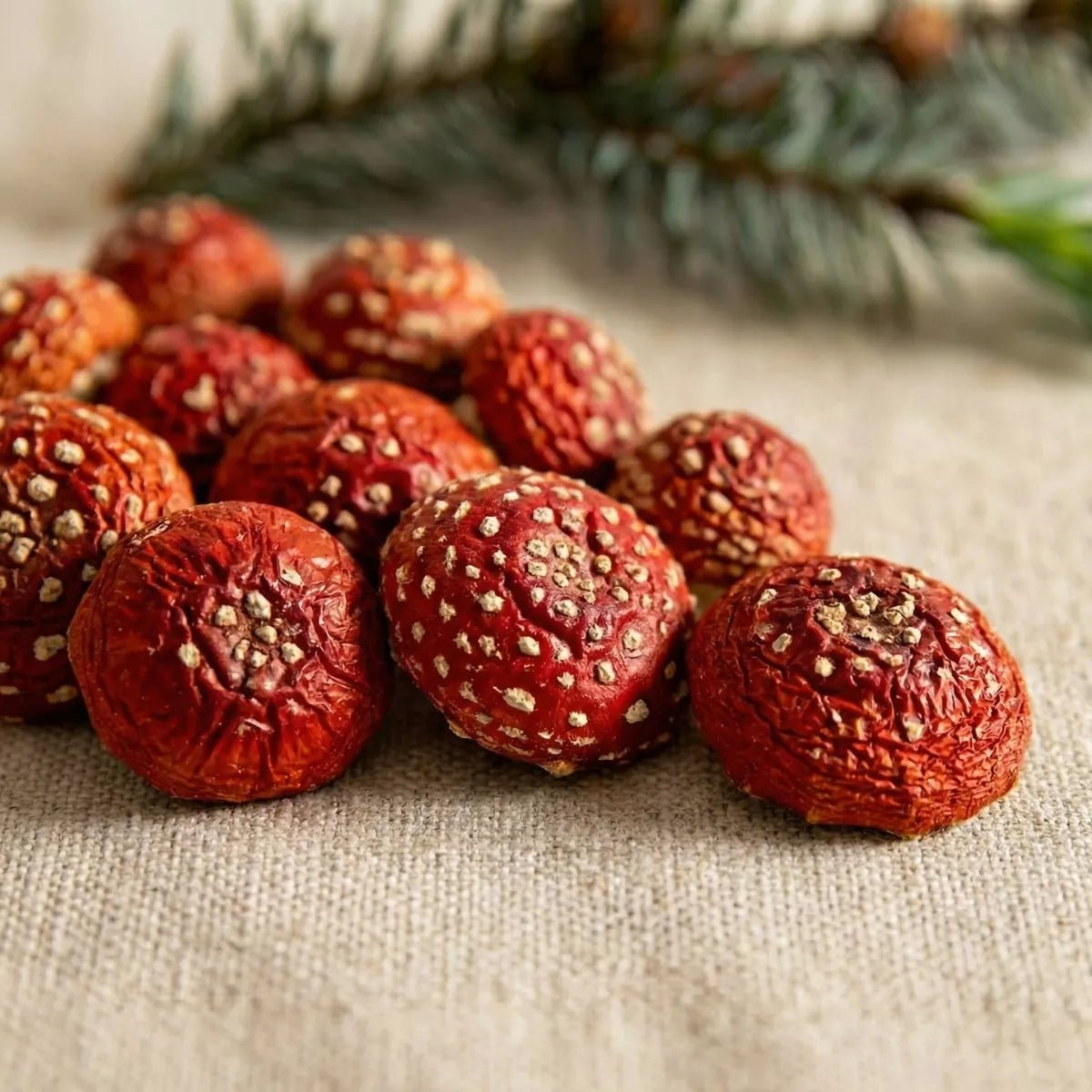 Druwids Geschlossene Fliegenpilz Hüte