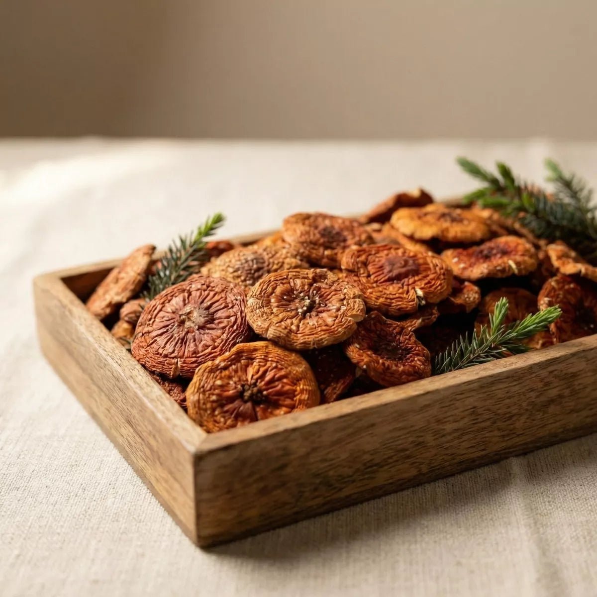 Getrocknete Fliegenpilze - Druwids