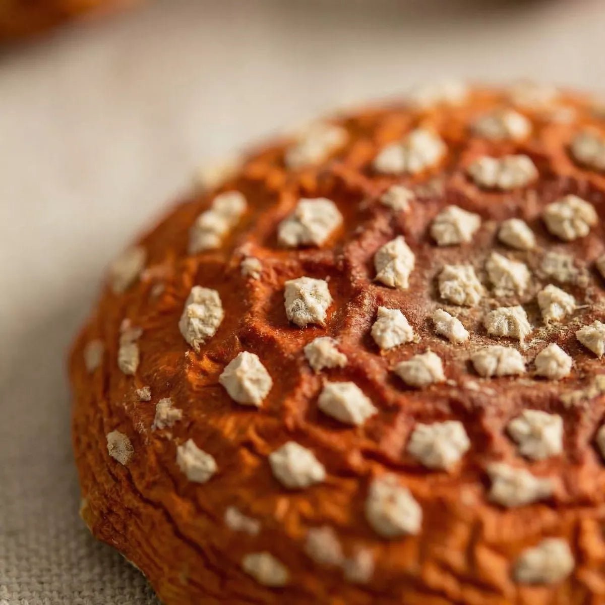 Getrocknete Fliegenpilze - Druwids