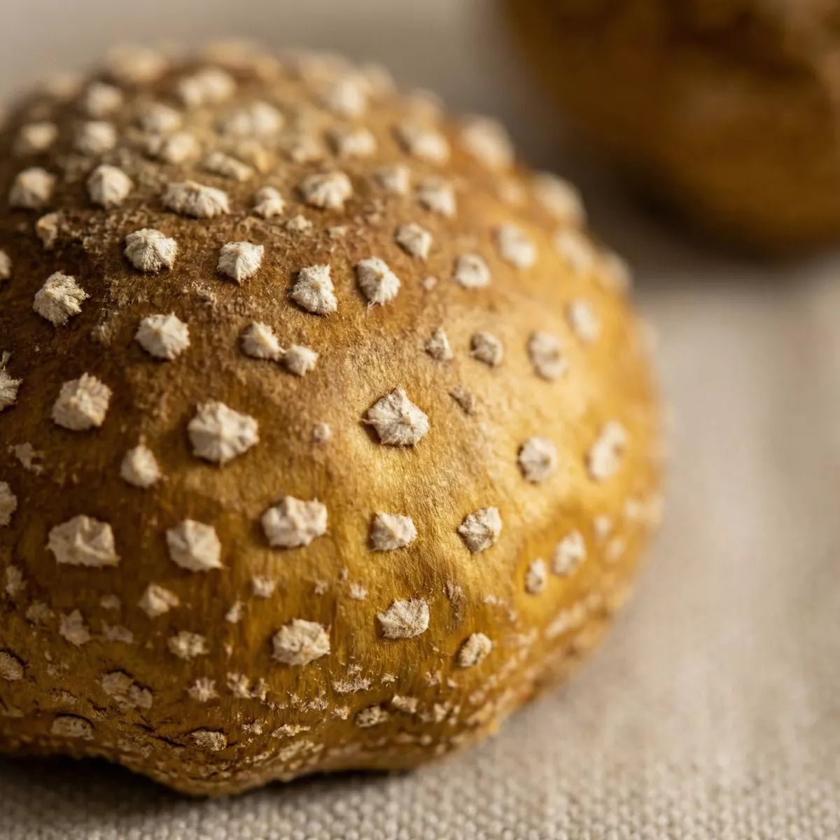 Königs - Fliegenpilz Pulver - Druwids