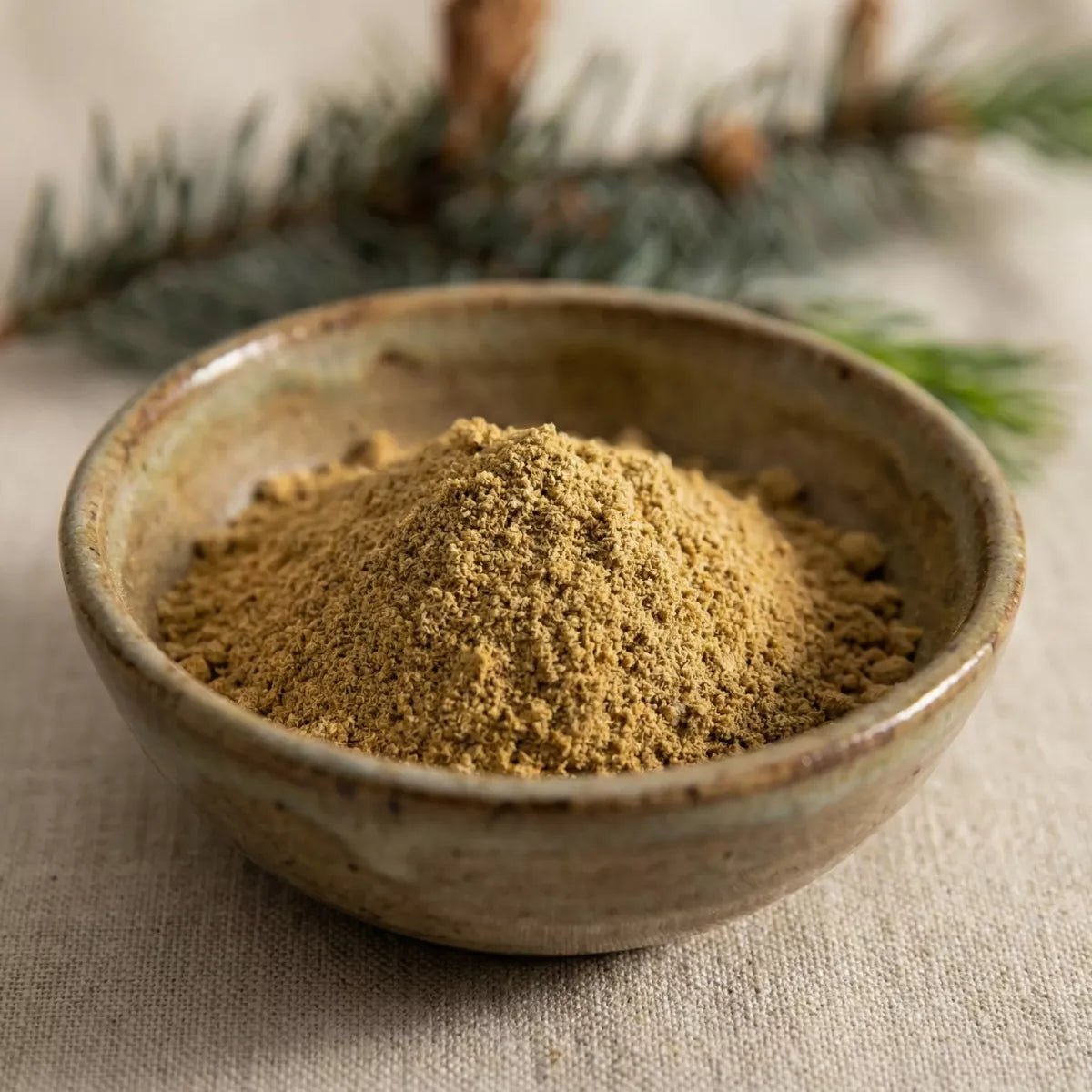 Königsfliegenpilz Pulver