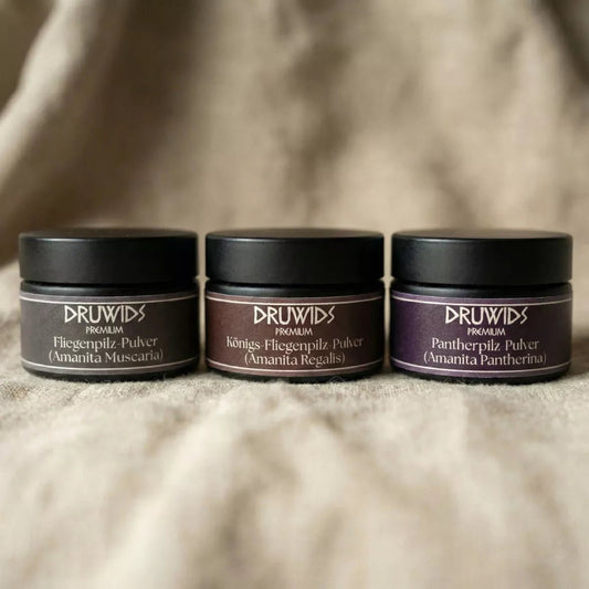 Premium Pulver – Muscaria, Regalis & Pantherina 5g - Druwids